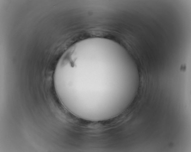 X0000113950271200909251010