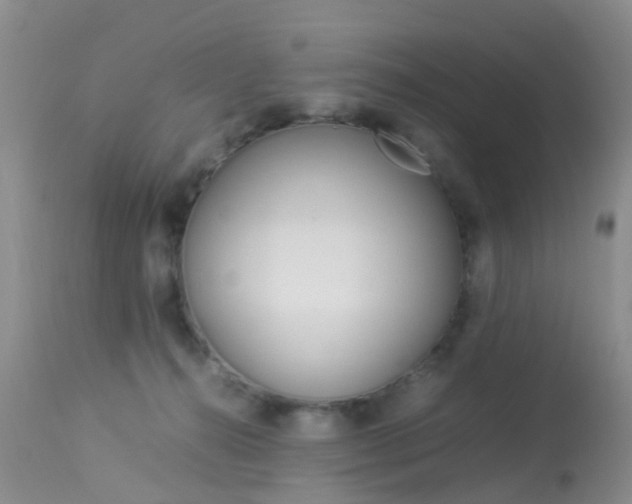 X0000113950272200909251010