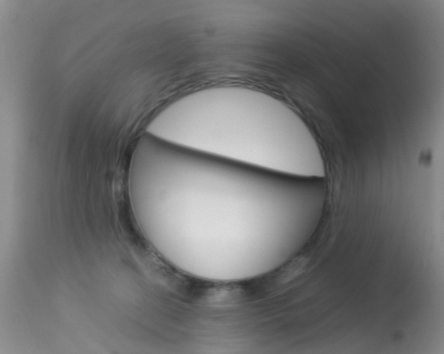 X0000113950274200909251010