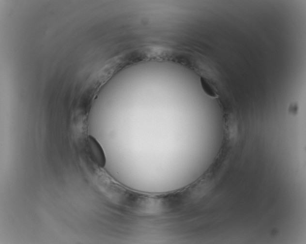 X0000113950276200909251010