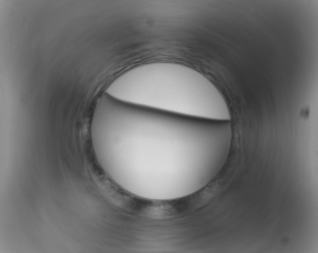 X0000113950278200909251010