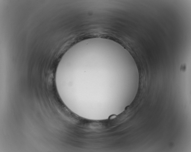 X0000113950279200909251010