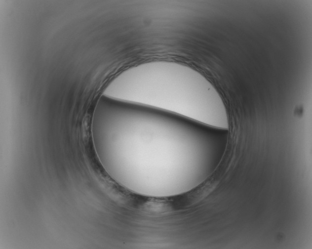 X0000113950280200909251010