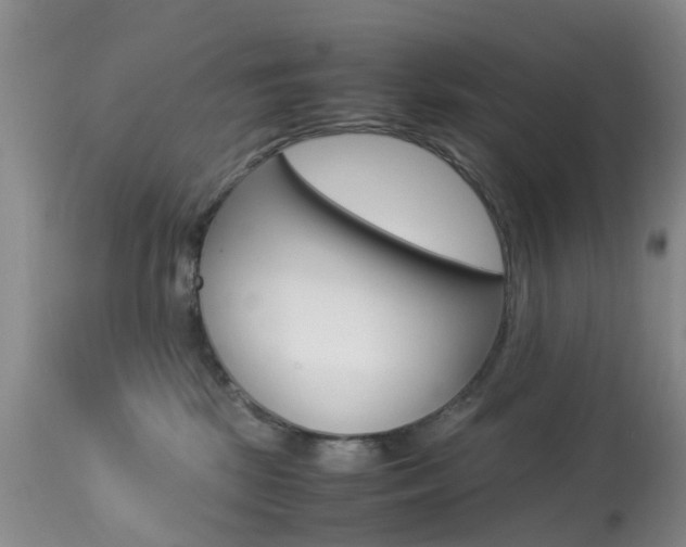 X0000113950281200909251010
