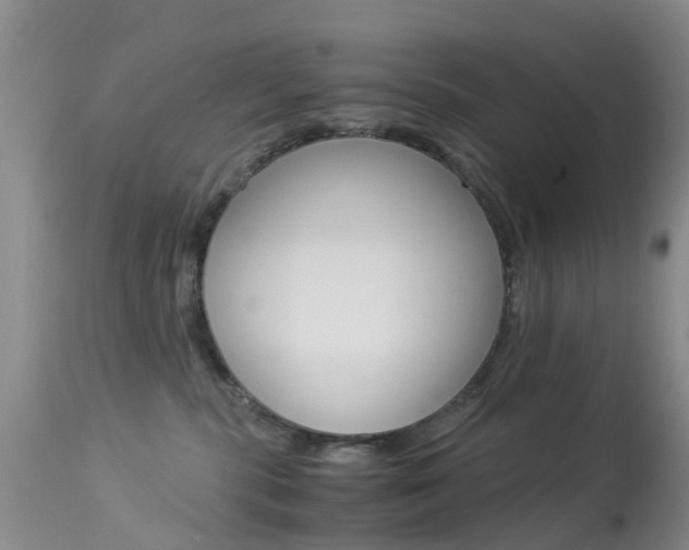 X0000113950283200909251010