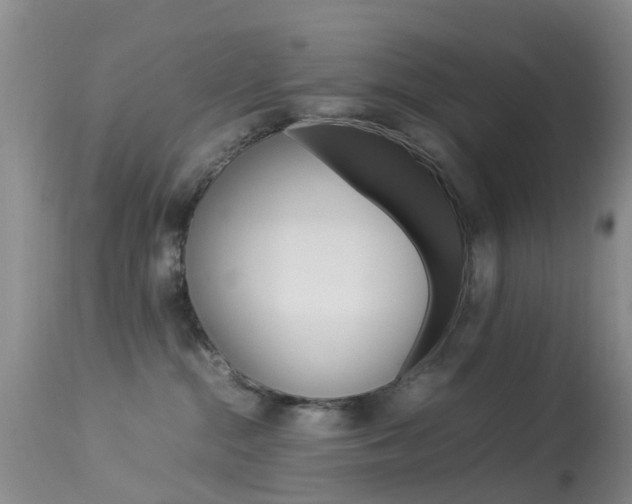 X0000113950284200909251010