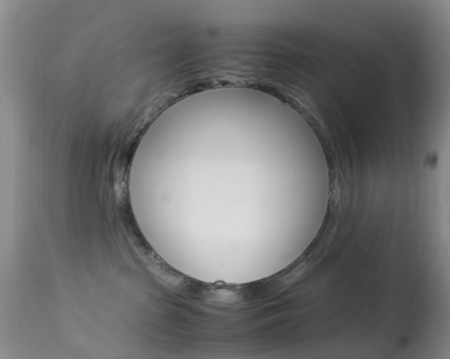 X0000113950285200909251010