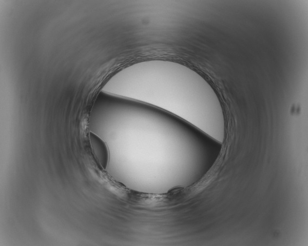 X0000113950288200909251010