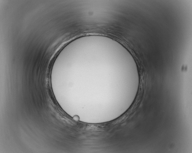 X0000113950290200909251009