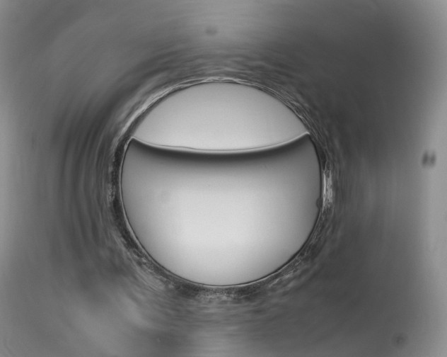 X0000113950291200909251009