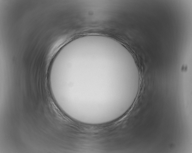 X0000113950293200909251009