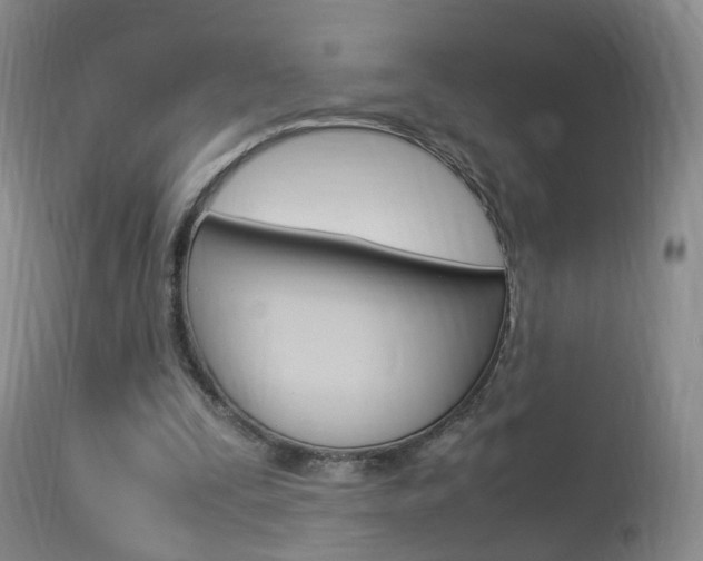 X0000113950295200909251009