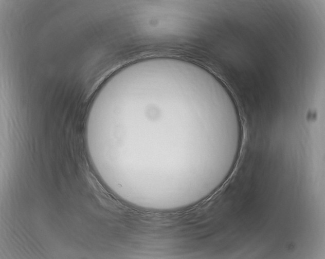 X0000113950297200909251009