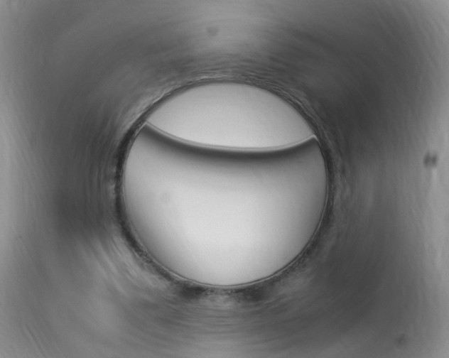 X0000113950299200909251009