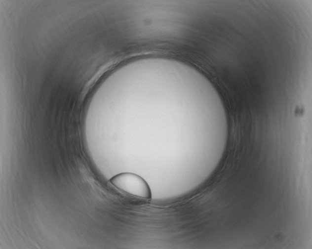 X0000113950300200909251009