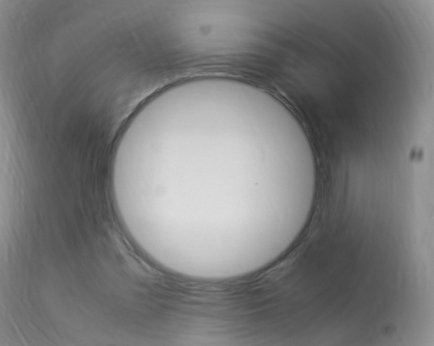 X0000113950301200909251009