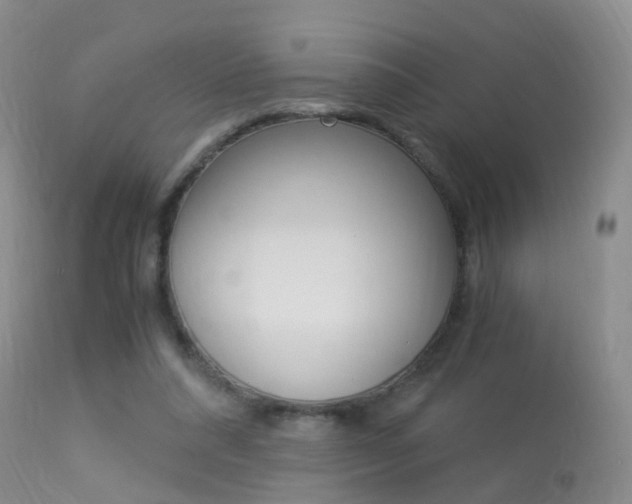 X0000113950304200909251009