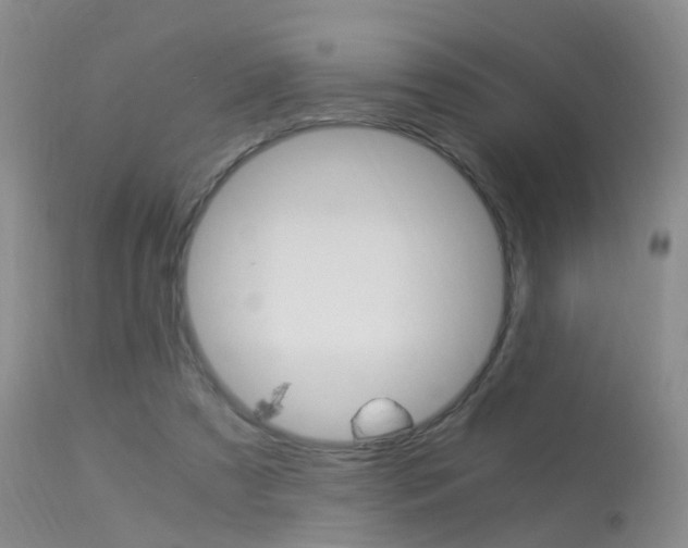 X0000113950305200909251009