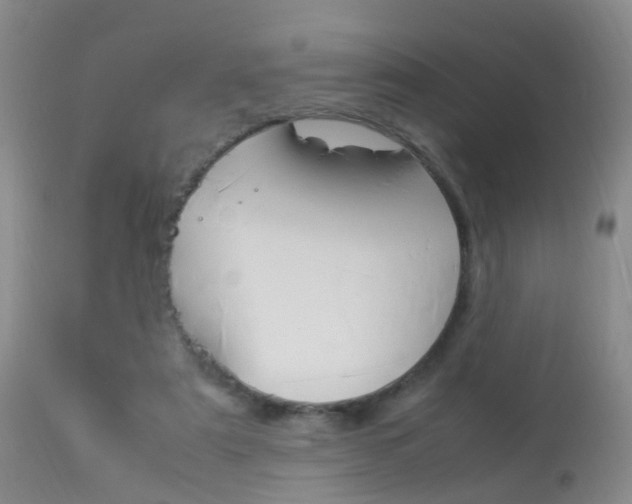 X0000113950307200909251009