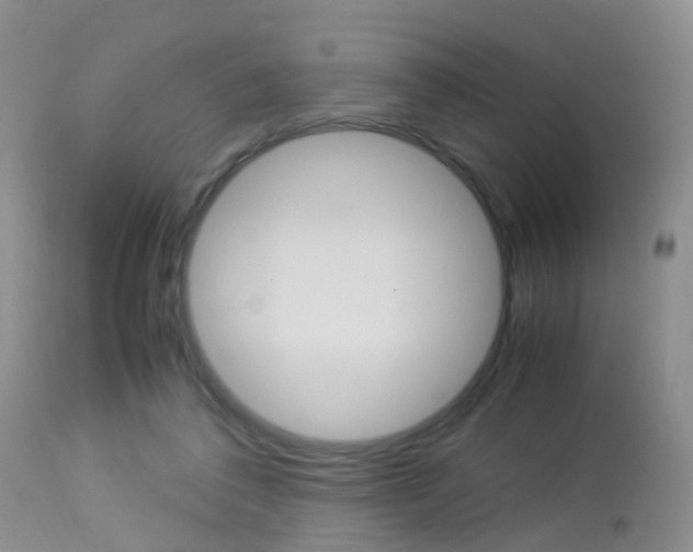 X0000113950308200909251009