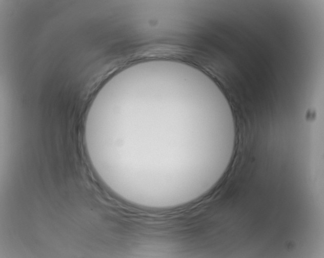 X0000113950309200909251009