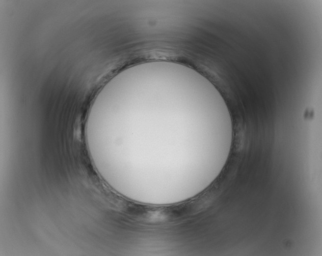 X0000113950310200909251009