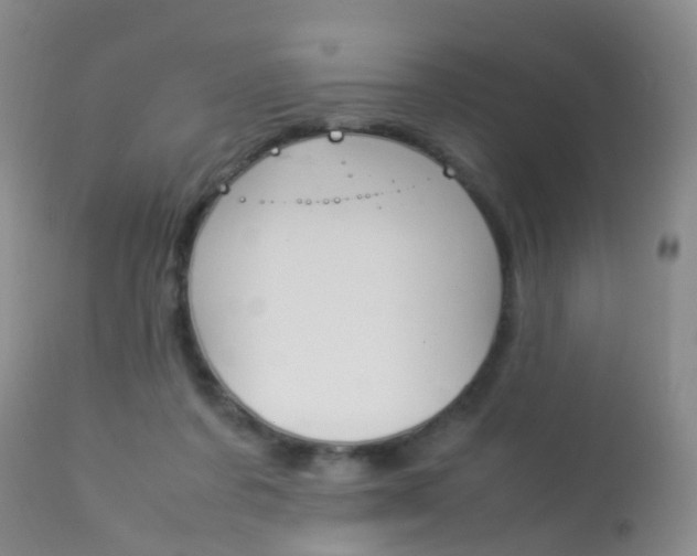 X0000113950311200909251009