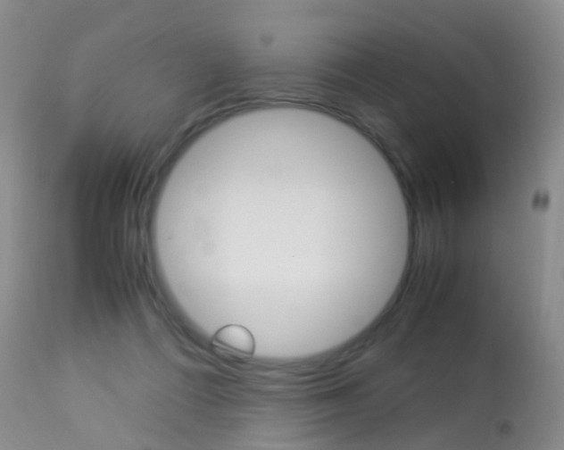 X0000113950312200909251009