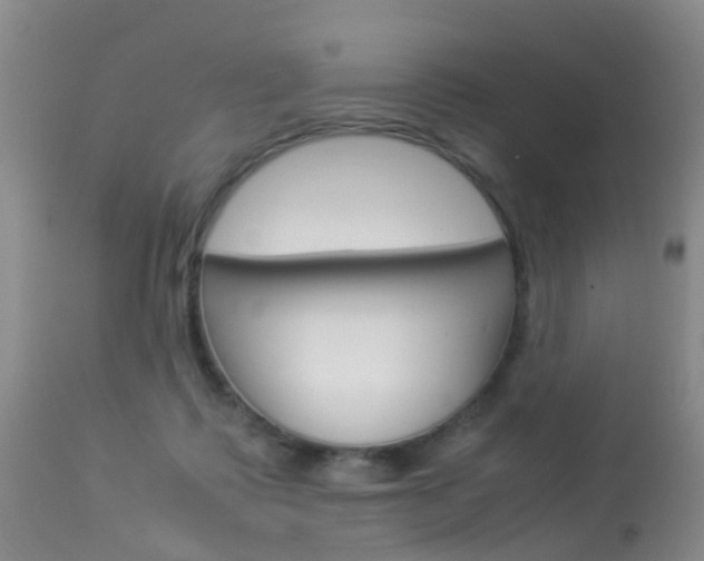 X0000113950315200909251009