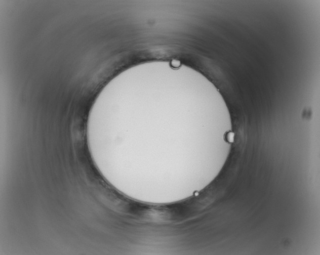 X0000113950317200909251009