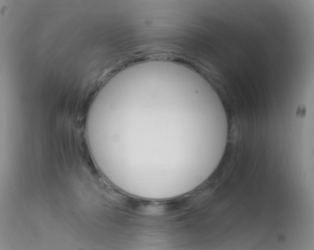 X0000113950318200909251009