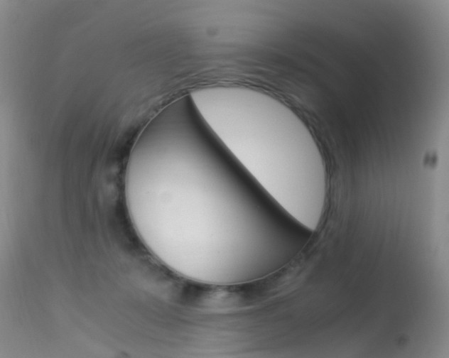 X0000113950319200909251009