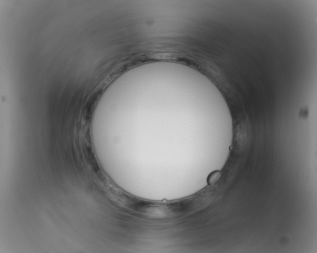 X0000113950322200909251009