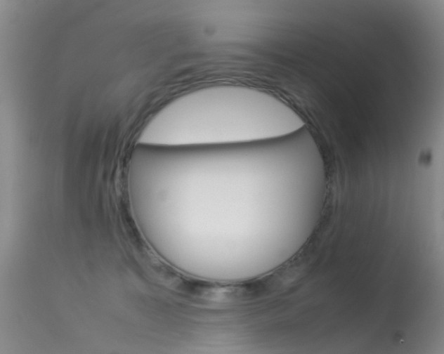 X0000113950323200909251009