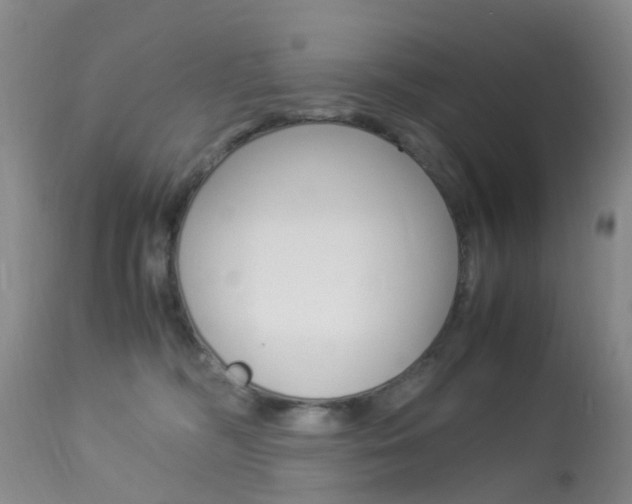 X0000113950326200909251009