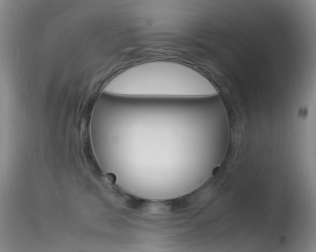 X0000113950327200909251009