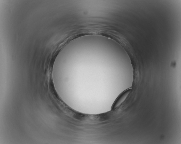 X0000113950329200909251009