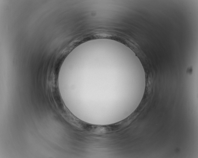 X0000113950330200909251009