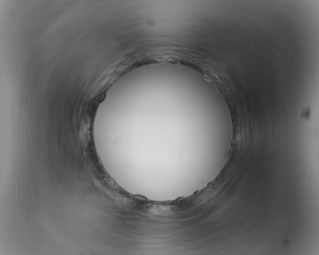 X0000113950332200909251009