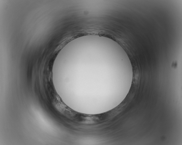 X0000113950334200909251009