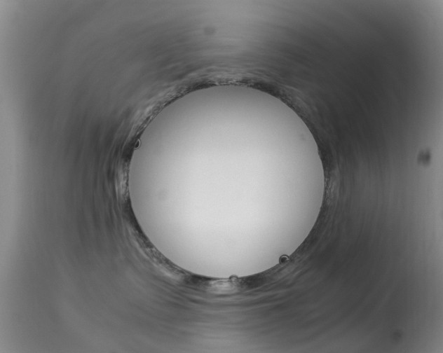 X0000113950335200909251009