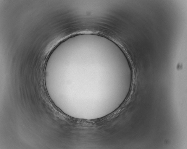 X0000113950337200909251008