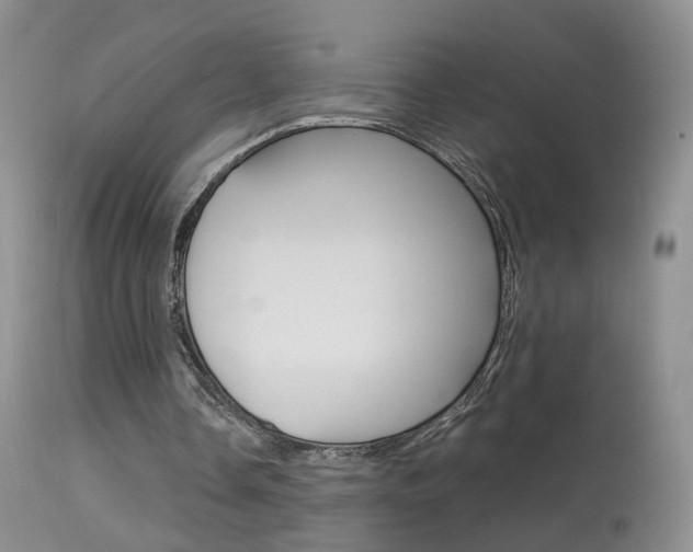X0000113950338200909251008