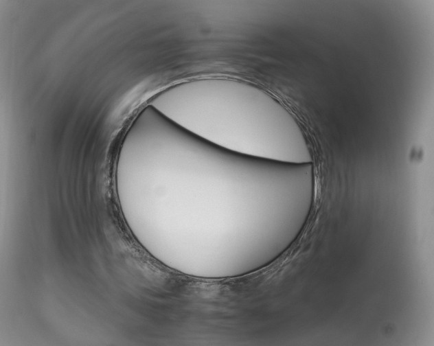 X0000113950339200909251008