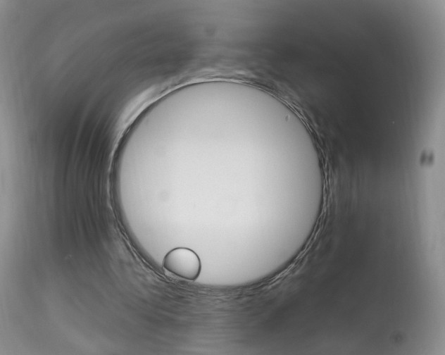 X0000113950340200909251008