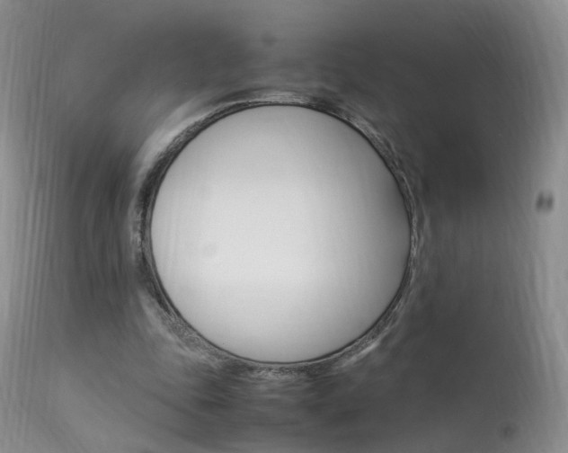 X0000113950343200909251008