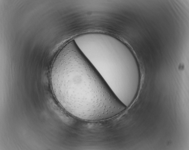 X0000113950345200909251008