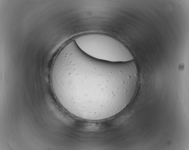 X0000113950347200909251008