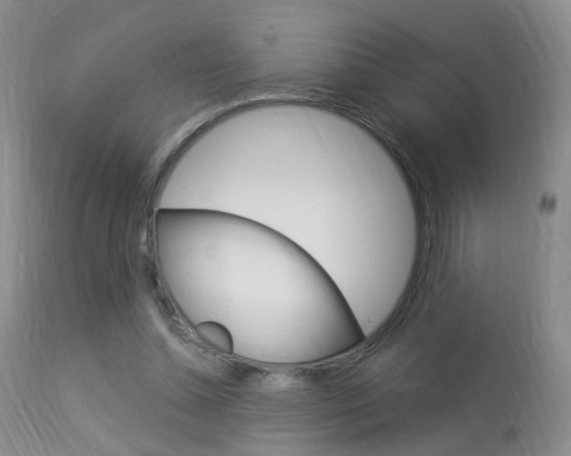 X0000113950348200909251008