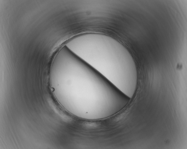 X0000113950349200909251008